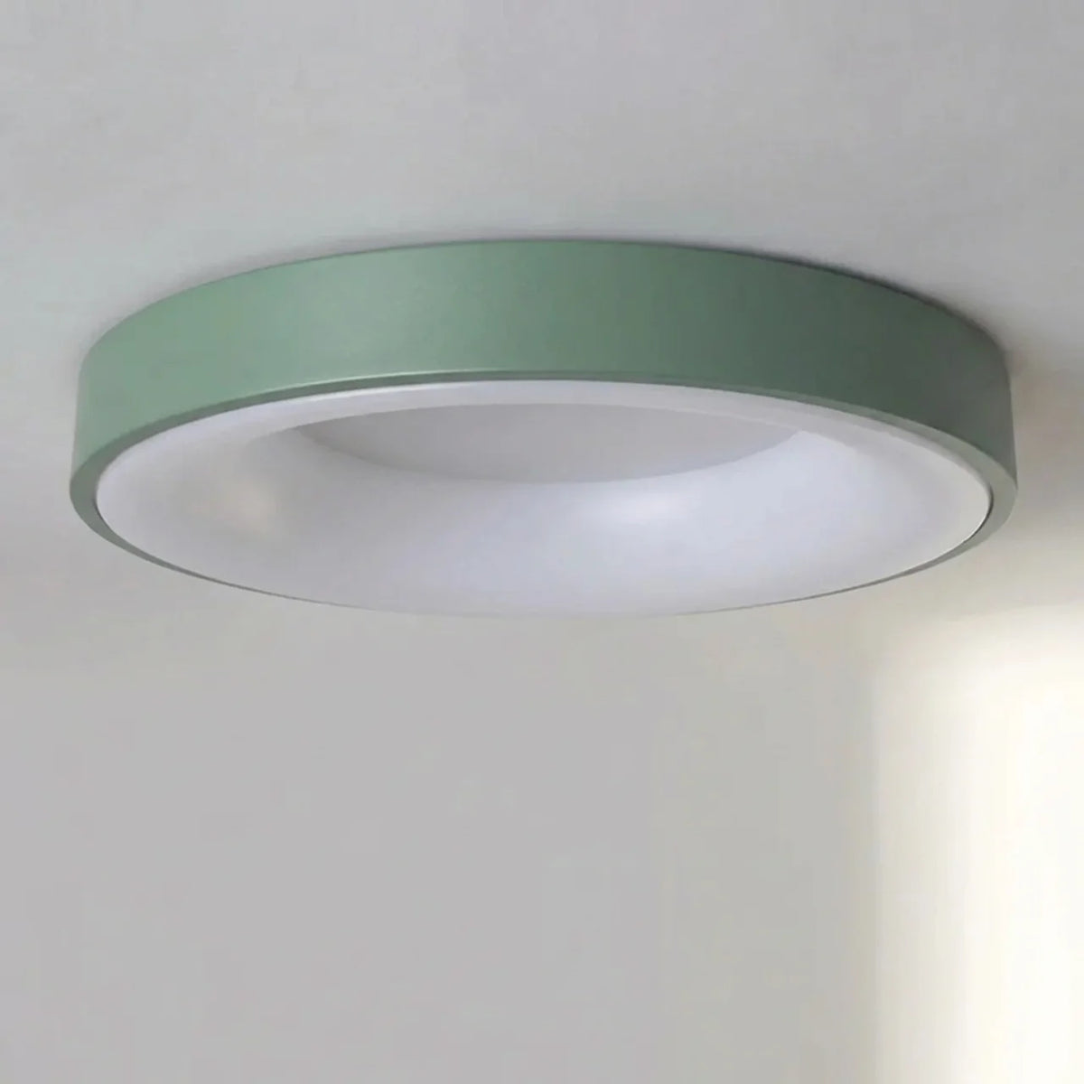 Flush Mount Ceiling Light Hollow Centre LED Design