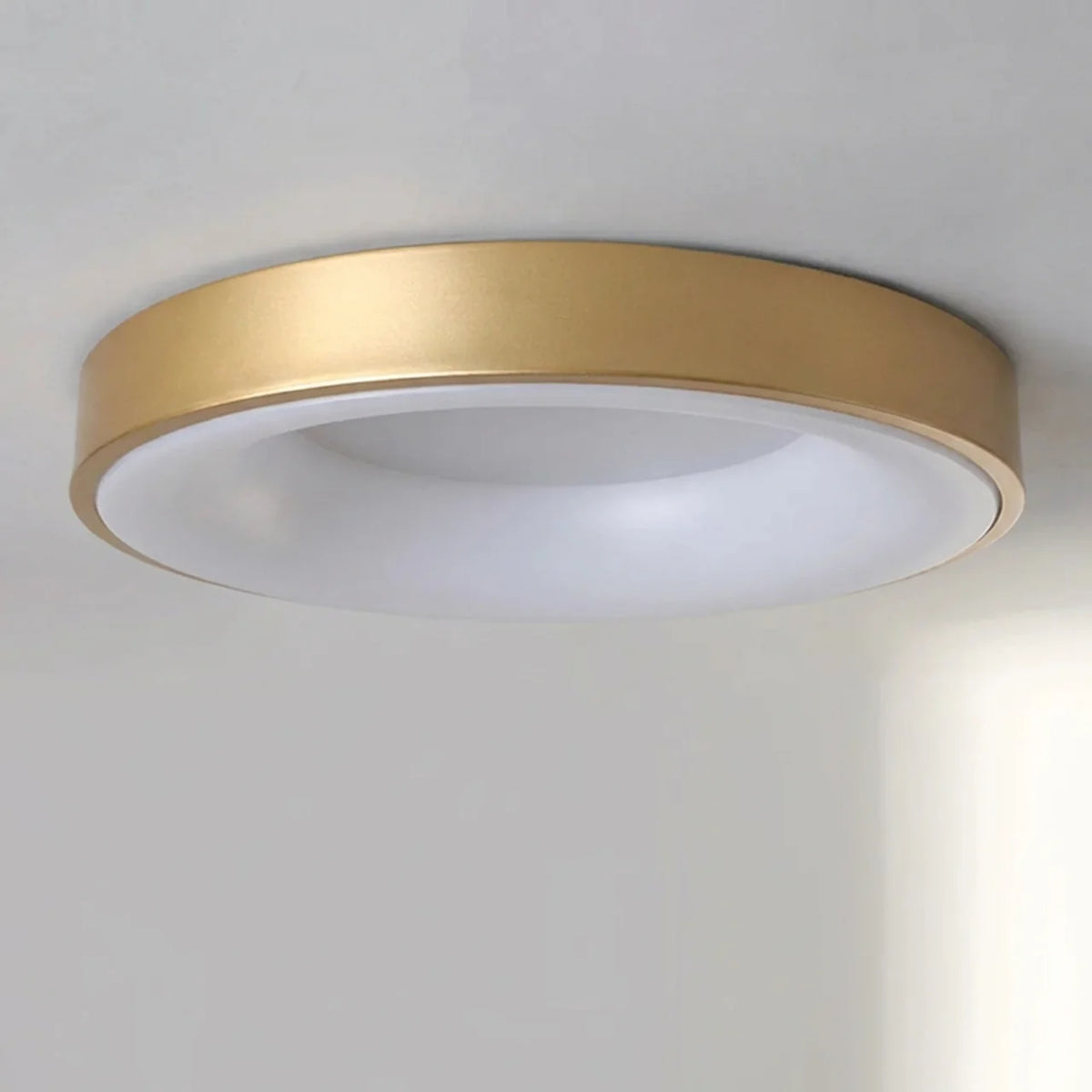 Flush Mount Ceiling Light Hollow Centre LED Design